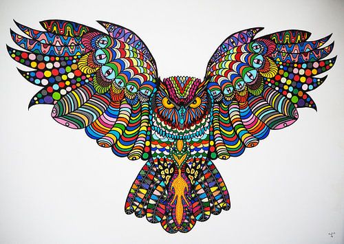 extreem zeldzame uil