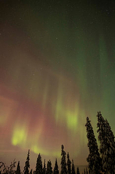 Tanzendes Nordlicht in Finnisch-Lappland