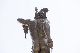 Perseus with the Head of Medusa van Pieter van der Zweep