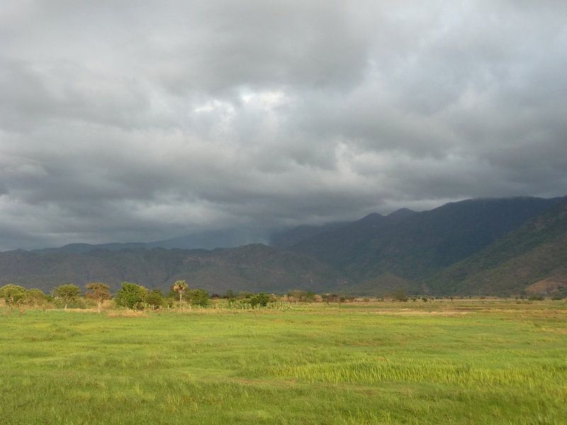 'Graslandschap', Tanzania par Martine Joanne