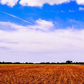 Ciel bleu hollandais sur Yvon van der Wijk