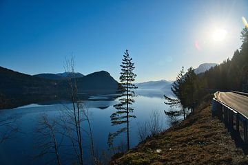 Het Oppstrynsvatnet meer in Noorwegen in de ochtenduren. van Martin Köbsch
