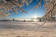 Sonnenaufgang mit frostigem Blick aufs Ostallgäu von Leo Schindzielorz Miniaturansicht