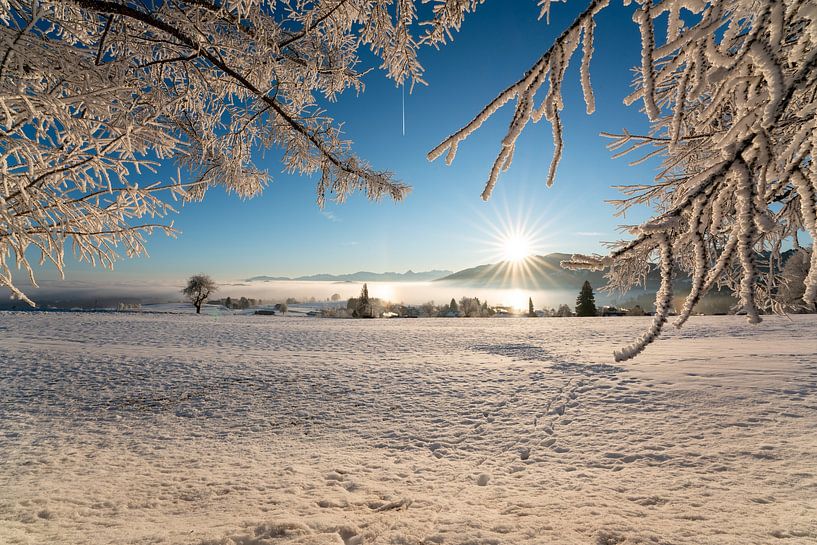 Sonnenaufgang mit frostigem Blick aufs Ostallgäu von Leo Schindzielorz