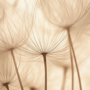 Paardenbloem licht van Poster Art Shop