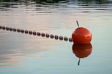 Buoy on a lake in the evening van Rico Ködder