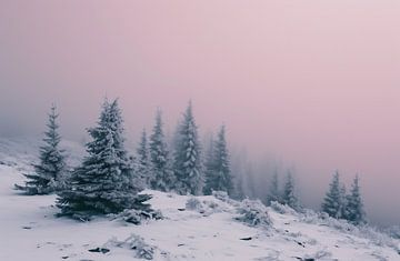 Mystieke winterse bos scène van fernlichtsicht