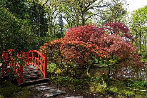 Brug in Japanse tuin 