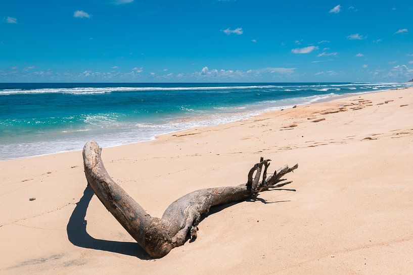 Schöner weißer Strand mit strahlend blauem Wasser (Pantai Nunggalan Beach) auf Bali, Indonesien von Troy Wegman