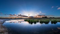 Swampland
