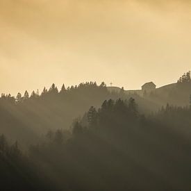 Zonnestralen in het herfstbos - Hundwileren bij Einsiedeln - Zwitserland van Pascal Sigrist - Landscape Photography
