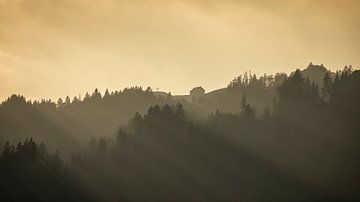 Rayons de soleil dans la forêt d'automne - Hundwileren près d'Einsiedeln - Suisse sur Pascal Sigrist - Landscape Photography