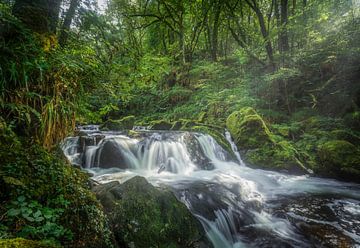 Golitha Falls van Loris Photography