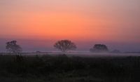 Africa in Huizen