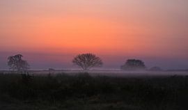 Africa in Huizen