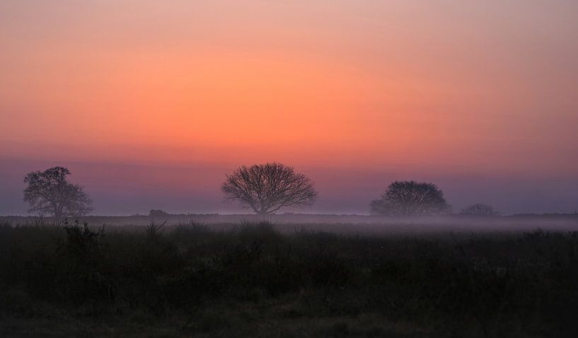 Africa in Huizen by Marijke Groos