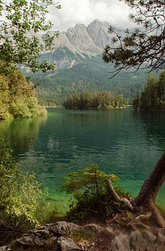 Klein eiland in de Eibsee van Thomas Junklewitz