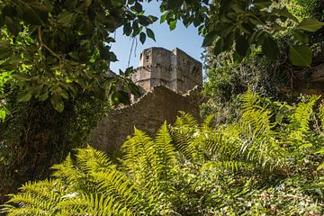 Château de Beaufort dans le vert.