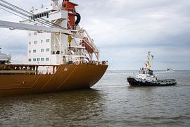 Singelgracht und Gruno V von Jan Georg Meijer