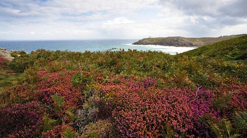 Bunte Küstenlandschaft der Bretagne