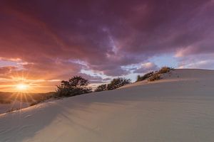 Beau ciel coucher de soleil au coucher du soleil dans les dunes de La Haye