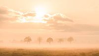 Zonsopkomst op een mistige morgen in het Staphorsterveld van Martin Bredewold thumbnail