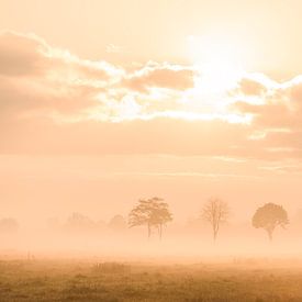 Zonsopkomst op een mistige morgen in het Staphorsterveld van Martin Bredewold