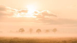 Zonsopkomst op een mistige morgen in het Staphorsterveld van Martin Bredewold