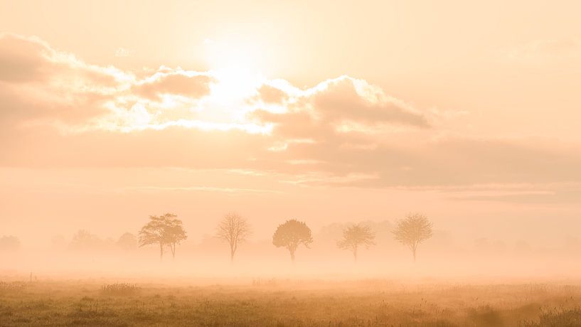 Zonsopkomst op een mistige morgen in het Staphorsterveld van Martin Bredewold