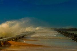 Ciara by Lucas De Beleyr