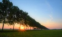 The sun rises