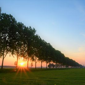 Le soleil se lève sur A'da de Bruin