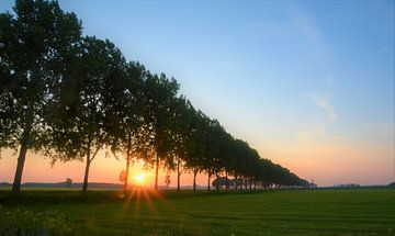 Le soleil se lève sur A'da de Bruin