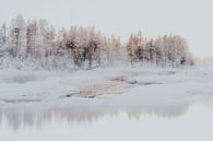 Storforsen Schweden - Arktische Winterlandschaft von sonja koning Miniaturansicht