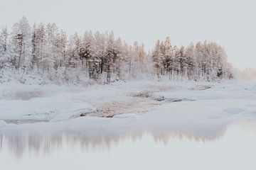 Storforsen Zweden - Arctisch winterlandschap van sonja koning