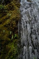 Bevroren mos bij een waterval