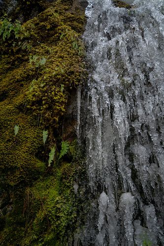 Gefrorenes Moos an einem Wasserfall