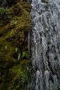 Bevroren mos bij een waterval van Bart Cox thumbnail