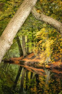 L'automne réfléchi sur Ellen Borggreve