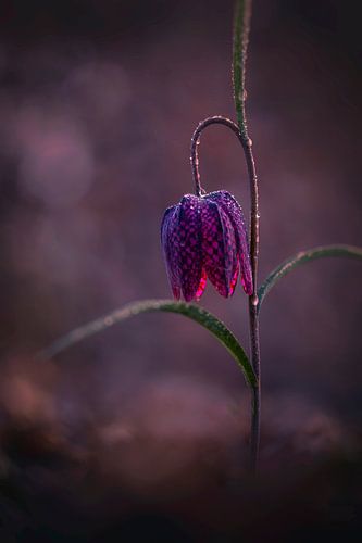 Etwas Licht in der Dunkelheit