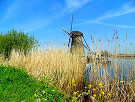 Lente by Koos Iperen