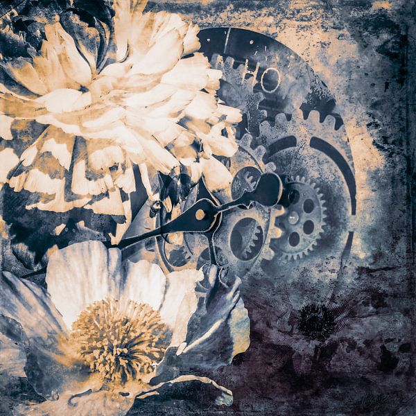 Behind the ranunculus and the poppies by Helga Blanke