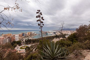 Uitzicht over Malaga vanaf de Gibralfaro-berg, de vuurtoornberg. van Marjolein Zijlstra