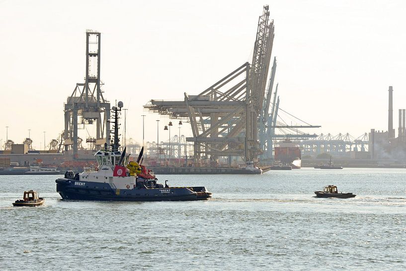 Schlepper und Ruderer auf dem Bierkanal von scheepskijkerhavenfotografie