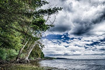 Vejle Fjord - Gezicht op de kust tussen Fakkegrav en Rosenvold van Tony Buijse