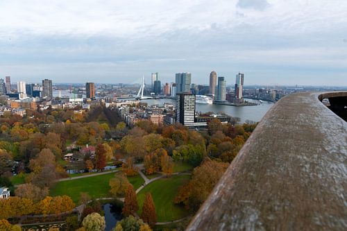 Rotterdam