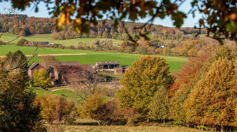 Couleurs d'automne sur les collines du sud du Limbourg par John Kreukniet