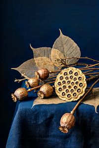 Goldene Natur Lotos & Mohn auf Blau