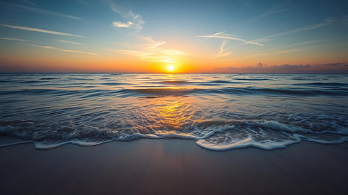 The Coast: A Natural Paradise