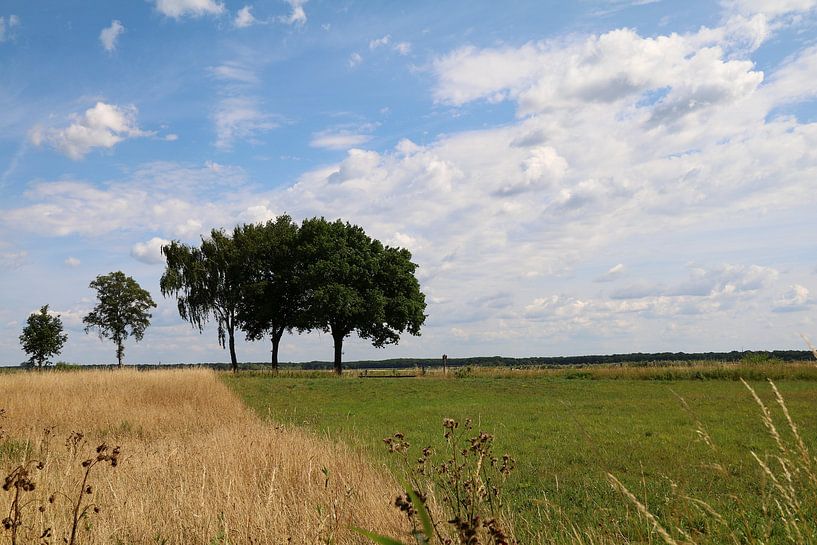 In peace by Daan van Herp